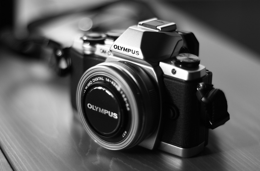 Archivo Fotogr�fico